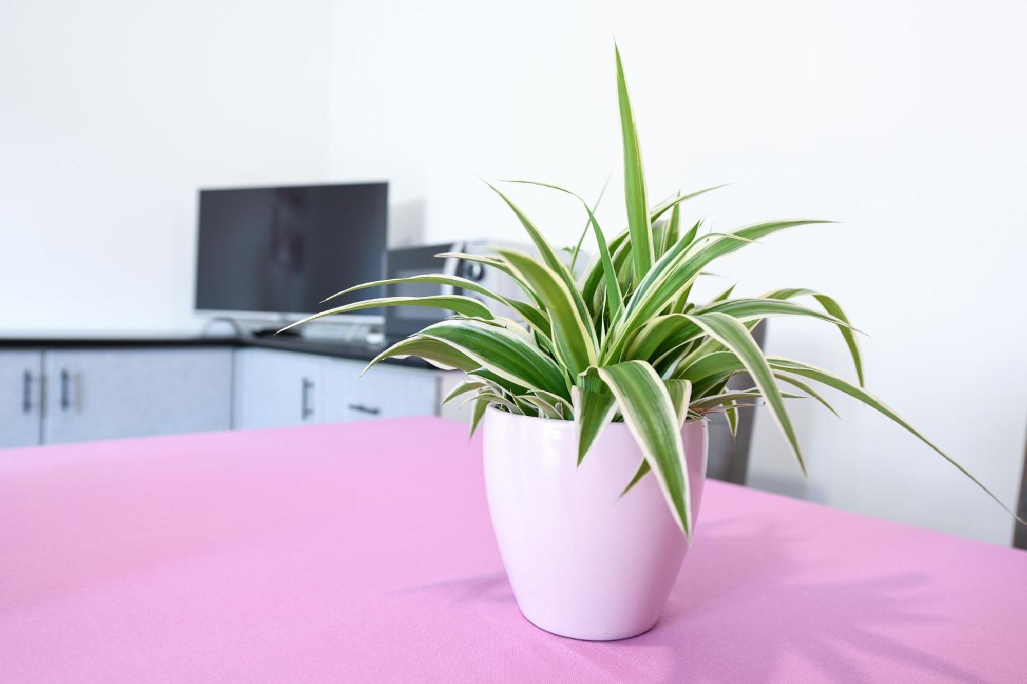 Breeze Apartment Desenzano del Garda Luaran gambar